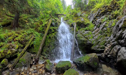 Stewart Creek and Waterfall near Ymir, British Columbia (8k, 360) Stewart Creek and Waterfall near Ymir, British Columbia (8k, 360)