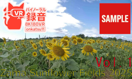 【SAMPLE】🌻 [8K VR180 & Binaural Audio | Zama Sunflower Festival 2025] Chapter One‼
