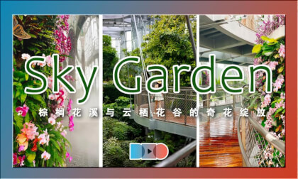 360° Immersive Eco Theater: Exotic Blossoms in Palm Streams & Cloud Valley | 棕榈花溪与云栖花谷的奇花绽放 360° Immersive Eco Theater: Exotic Blossoms in Palm Streams & Cloud Valley | 棕榈花溪与云栖花谷的奇花绽放