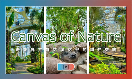 Shanghai Eco Miracle: Immersive Sky Garden Experience, Symphony of Exotic Blossoms in Streams & Valleys | 魔都生态奇迹,空中花园的沉浸体验,奇花异卉与花溪花谷的绚烂交响 Shanghai Eco Miracle: Immersive Sky Garden Experience, Symphony of Exotic Blossoms in Streams & Valleys | 魔都生态奇迹,空中花园的沉浸体验,奇花异卉与花溪花谷的绚烂交响
