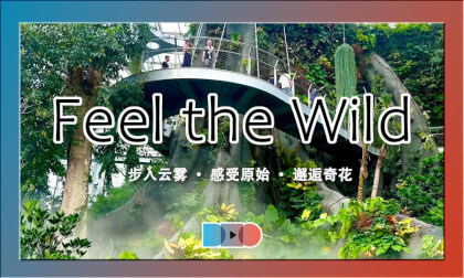 Misty Sanctuary: Enter the Clouds · Feel the Wild · Discover Rare Blooms | 雾隐秘境,步入云雾 · 感受原始 · 邂逅奇花 Misty Sanctuary: Enter the Clouds · Feel the Wild · Discover Rare Blooms | 雾隐秘境,步入云雾 · 感受原始 · 邂逅奇花