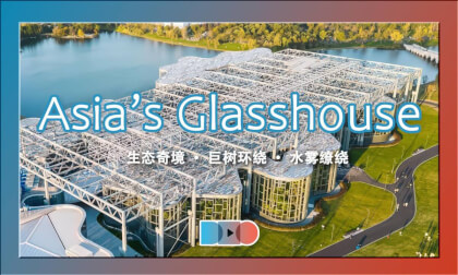 Clouded Rainforest: Wonders of Asia’s Grand Glasshouse | 上海温室花园,云雾森林:亚洲温室的奇幻探秘 Clouded Rainforest: Wonders of Asia’s Grand Glasshouse | 上海温室花园,云雾森林:亚洲温室的奇幻探秘
