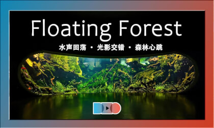 Floating Forest: Walk Through an Aquatic Wonderland | 上海温室花园,水上森林:漫步浮动的生态奇境森林 Floating Forest: Walk Through an Aquatic Wonderland | 上海温室花园,水上森林:漫步浮动的生态奇境森林