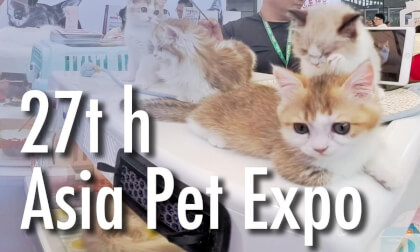 The 27th Asian Pet Expo VR Video The 27th Asian Pet Expo VR