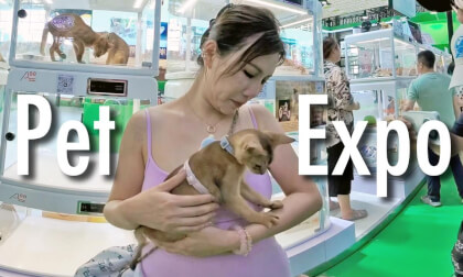The 27th Asian Pet Expo VR Video The 27th Asian Pet Expo VR