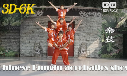 VR180 Kung Fu Acrobatics VR180 Kung Fu Acrobatics