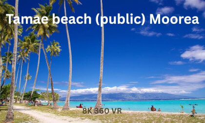 Temae Beach Moorea in 360° | Peaceful Paradise in 8K VR | VR Travel Vlog VR Video Temae Beach Moorea in 360° | Peaceful Paradise in 8K VR | VR Travel Vlog VR