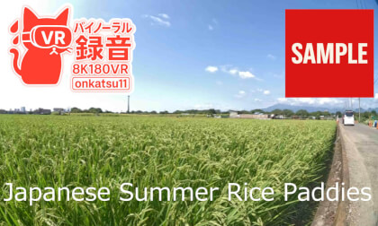 【SAMPLE】🌾 [8K VR180 & Binaural Audio] Japanese Summer Rice Paddies — Midday Calm 🌾