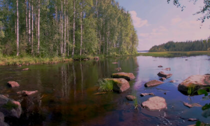 Small rapids in the wilderness VR Video Small rapids in the wilderness VR