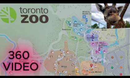GERAFF - TORONTO ZOO, Canada - 8K 360 VR VIDEO - INSTA360 X5 VR Video GERAFF - TORONTO ZOO, Canada - 8K 360 VR VIDEO - INSTA360 X5 VR