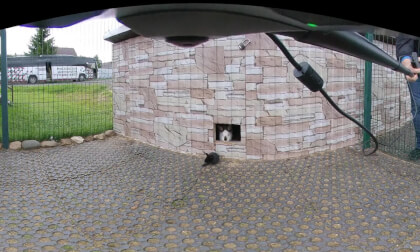 VID_20250824_134455_00_010 VR Video VID_20250824_134455_00_010 VR