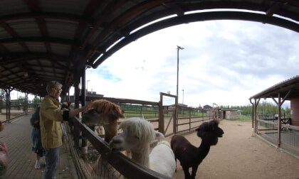 VID_20250824_140517_00_018 VR Video VID_20250824_140517_00_018 VR