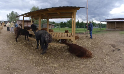 VID_20250824_140800_00_019 VR Video VID_20250824_140800_00_019 VR