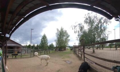 VID_20250824_141122_00_020 VR Video VID_20250824_141122_00_020 VR