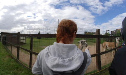 VID_20250824_141937_00_026 VR Video VID_20250824_141937_00_026 VR