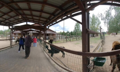 VID_20250824_142355_00_028 VR Video VID_20250824_142355_00_028 VR