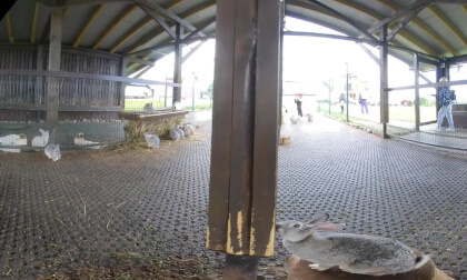 VID_20250824_151559_00_032 VR Video VID_20250824_151559_00_032 VR