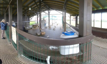 VID_20250824_152135_00_035 VR Video VID_20250824_152135_00_035 VR