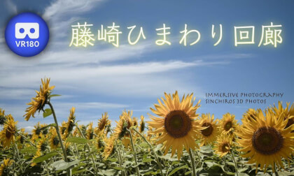 Fujisaki Sunflower Corridor Fujisaki Sunflower Corridor