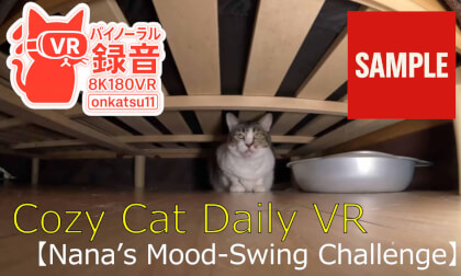 🐾 [8K VR180 & Binaural Audio]  Cozy Cat Daily VR | Nana’s Mood-Swing Challenge