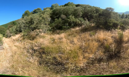 Ancares: Braña de Pereda
