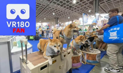 Pet Expo Vlog – A Day with the Cutest Pets Up Close Pet Expo Vlog – A Day with the Cutest Pets Up Close