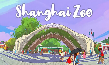 Shanghai zoo VR Video Shanghai zoo VR