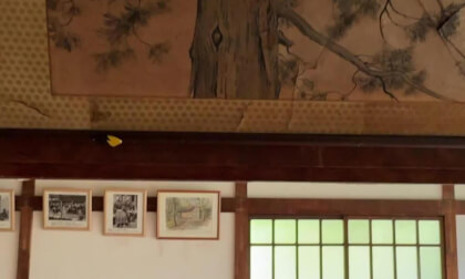 IMG_5199_side_by_side VR Video IMG_5199_side_by_side VR