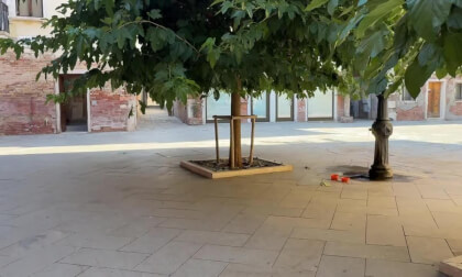 IMG_6256_side_by_side VR Video IMG_6256_side_by_side VR