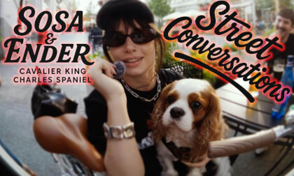 Tell me about your dog Tell me about your dog
