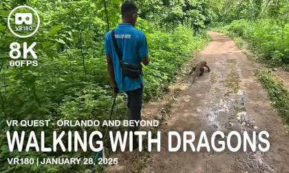 Walking with Dragons - VR180 8K 60FPS (4320s60) VR Video Walking with Dragons - VR180 8K 60FPS (4320s60) VR