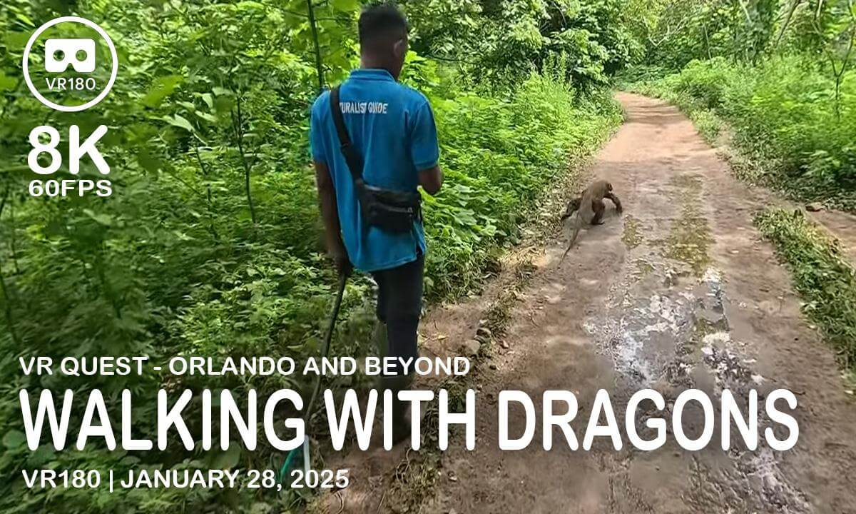 Walking with Dragons - VR180 8K 60FPS (4320s60)