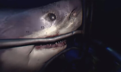 Shark Attack Gameplay Recorded from PSVR [3D VR180]