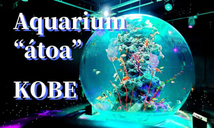 Kobe: Theater-style aquarium "átoa" main tank, JAPAN Kobe: Theater-style aquarium "átoa" main tank, JAPAN