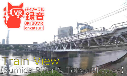 🌉 [8K VR180 & Binaural Audio] Train View — Sumida River & Tokyo Skytree