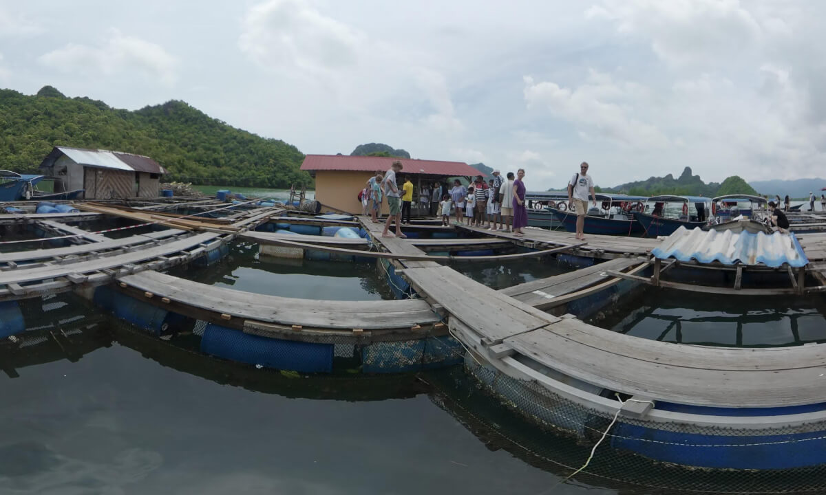Langkawi Coastal Fish Pond, Malaysia 补充说明: 马来西亚兰卡威海边鱼池