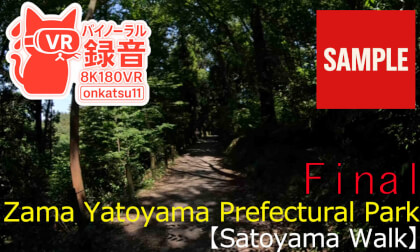 【SAMPLE】🌿 [8K VR180 & Binaural Audio] Zama Yatoyama Prefectural Park — Satoyama Walk 🌿Final Chapter‼