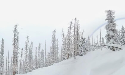 Wolf Creek Snowboarding #12..