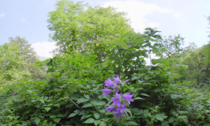 2025_09_04 Test 8k