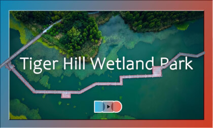 Secret of the Cedar Forest · Tiger Hill Wetland Park Secret of the Cedar Forest · Tiger Hill Wetland Park