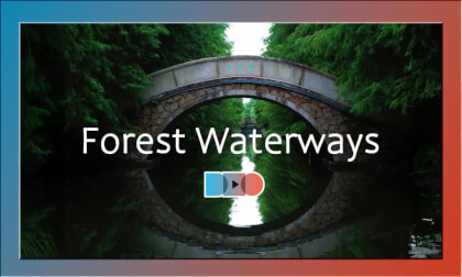 Forest Waterways · Suzhou’s Ecological Wonder Forest Waterways · Suzhou’s Ecological Wonder