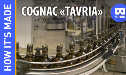 How it`s made. Cognac TAVRIA How it`s made. Cognac TAVRIA