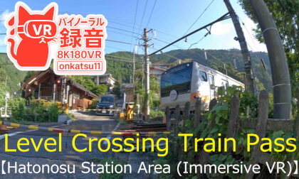 🌉 [VR180 / 8K] Level Crossing Train Pass — Hatonosu Station Area (Immersive VR)