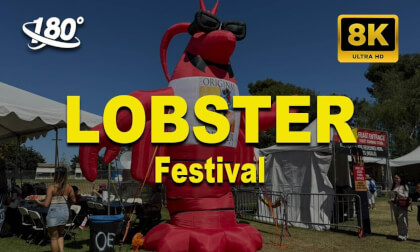 Lobster Festival Lobster Festival