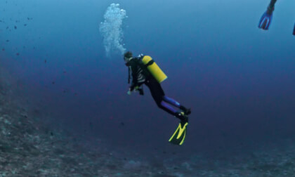 Sachikos point Full dive 27082025 56 min Bunaken National Marine Park North Sulawesie LumbaLumba diving resort VR Video Sachikos point Full dive 27082025 56 min Bunaken National Marine Park North Sulawesie LumbaLumba diving resort VR
