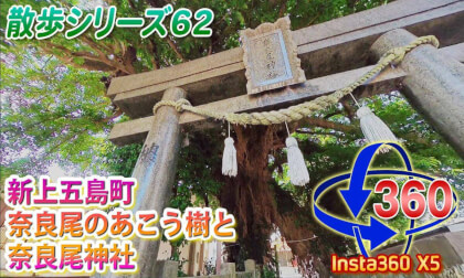 [VR Walk 62] The Akou Tree and Narao Shrine in Shinkamigoto Town, Nagasaki Prefecture
