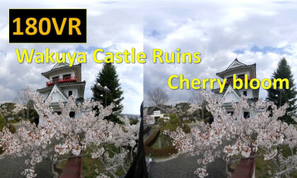 Japan Wakuya Castle Ruins cherry blossom VR Video Japan Wakuya Castle Ruins cherry blossom VR