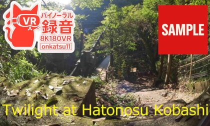 【SAMPLE】🌆 Twilight at Hatonosu Kobashi — Suspension Bridge Twilight VR (8K VR180 & Binaural Audio)