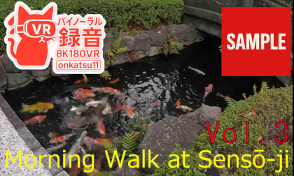 🌅 Morning Walk at Sensō-ji (8K VR180 & Binaural Audio)Chapter three‼