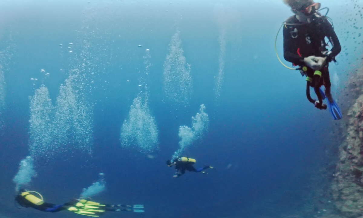 Timur Full dive 27082025 49 min Bunaken National Marine Park North Sulawesie LumbaLumba diving resort